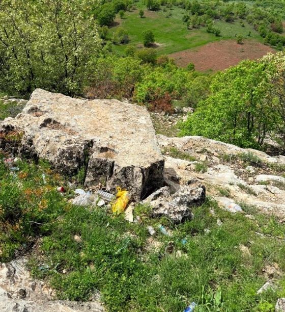 Diyarbakır'da toplamda 50 kişi bir araya geldikten sonra 30'dan fazla mavi torbaya 1000'lercesi teker teker toplandı - Resim: 3