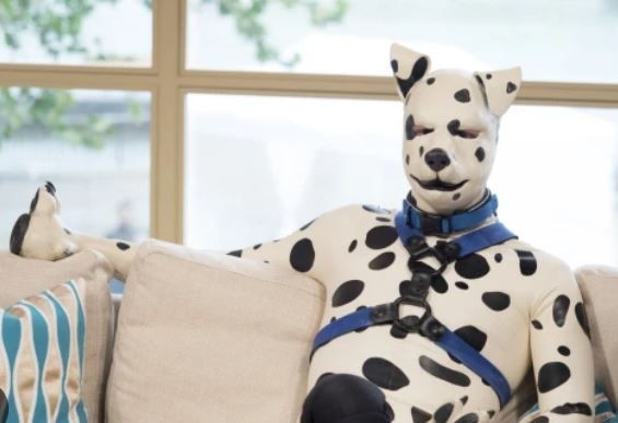 Kulaklarını kestirip köpeğe dönüştü... Sadece tek bir aktivitesini köpek olarak değil insan olarak yapıyor - Resim: 8