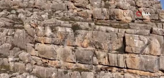 Erzincan’da 10'larcası doğal güzelliğiyle kendisine hayran bırakan kanyonda ortaya çıktı. 10'lar manzaraya daha da güzellik kattı - Resim: 4