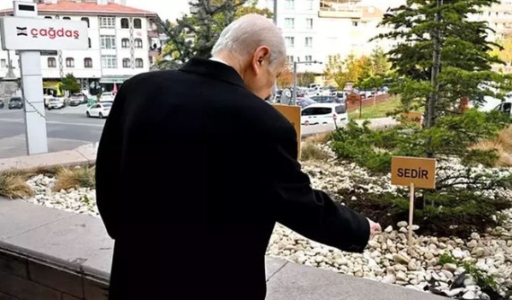 MHP Genel Merkezi önüne 'Biz kardeşiz' ağaçları dikildi! Bahçeli eş kenar üçgen örneği ile açıklama yaptı - Resim : 1