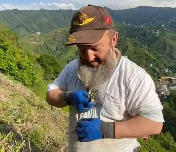 Rize'de tarlasında bakım yapmak isteyen çiftçi bir anda karşısında gördü. 1 metreden uzundu ancak asıl hayvana yaptığı hareket şaşırttı - Resim: 2