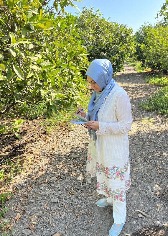 Aydın Söke’de tarım arazilerinde tuzaklar kontrol edildi, üreticilere uyarı yapıldı - Resim: 4