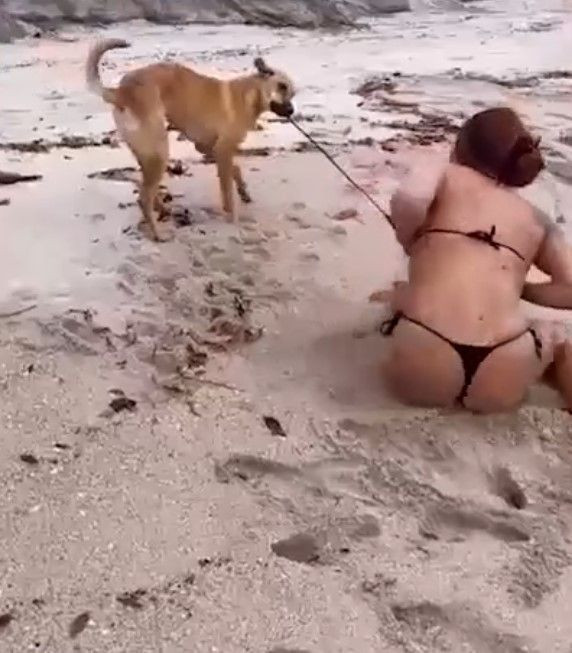 Bikinisini köpeğe kaptıran fenomen ismin zor anları böyle kaydedildi - Resim: 1