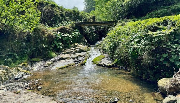 Rize'de her zaman beyaz akıyordu, bir anda kırmızıya dönünce vatandaşlar büyük panik yaşadı
