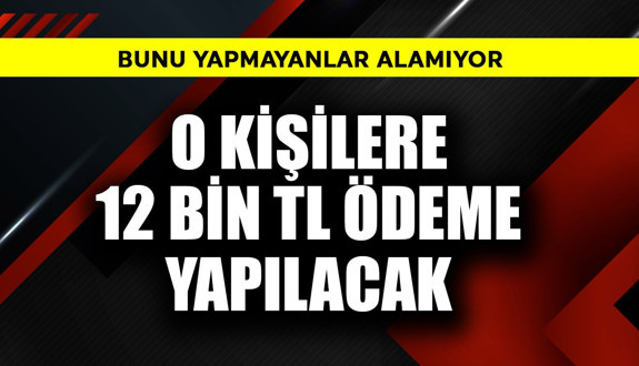 Emeklilere 12.000 TL'de flaş detay! Bunu yapmayan alamayacak