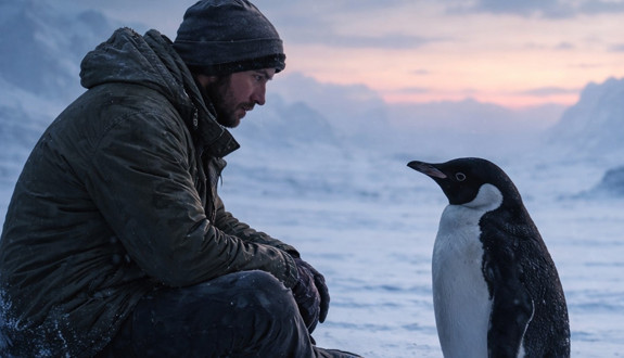 O penguene hepimiz üzüldük! 'Nihilist Penguen' tartışması: Ona mı bakıyoruz, kendimize mi?