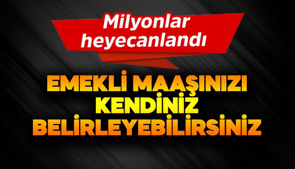 Emekli maaşınızı kendiniz belirleyebilirsiniz!  Milyonlar heyecanlandı