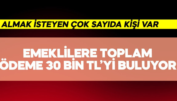 Emeklilere toplam ödeme 30 bin TL'yi buluyor