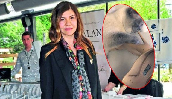 Gördüğü manzara karşısında şok oldu! Kedisi 50 bin liralık ayakkabısını yedi