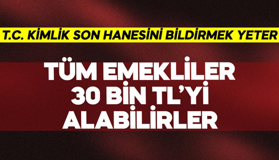 Tüm emekliler 30 bini alabilir! T.C. Kimlik No Son Hanesi 0,2,4,6,8'i bildirmek yeter