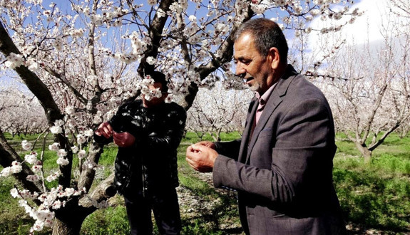 Bir yıl aradan sonra hasat umudu: Kayseri'de 13 bin ton rekolte hedefi
