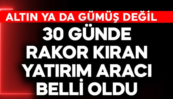 Altın ya da gümüş değil! 30 günde rekor kıran yatırım aracı belli oldu