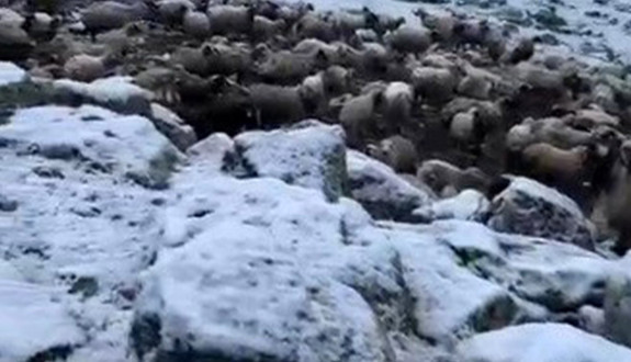 Kars'ta mayıs ayı sonunda büyük sürpriz! Doğadaki manzarayı görenler dondu kaldı