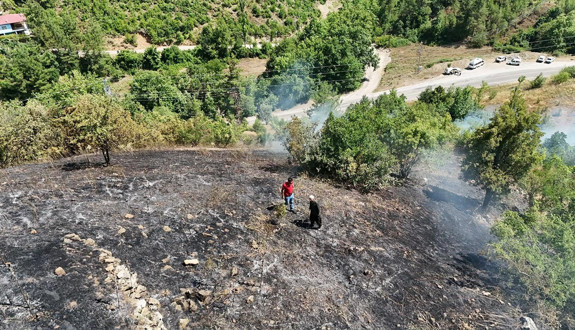 Adana’da endişelendiren görüntü! Alevlerle savaş sürüyor