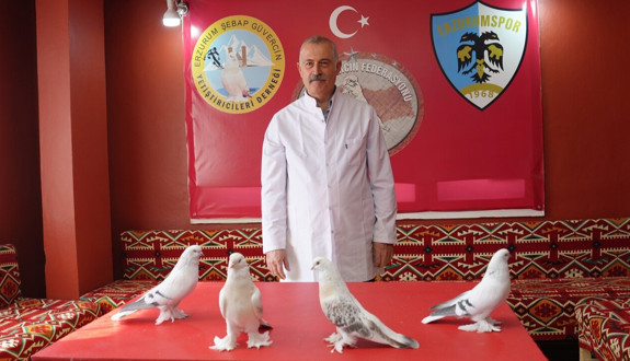 Emekli başçavuşun güvercin aşkı: 40 güvercin için ev kiraladı! Dostlukları kazançtan üstün tuttu