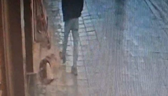 Uyuyan köpeğe tekme attı, bacağından ısırıldı! Yaptığının bedelini hastanelik olarak ödedi