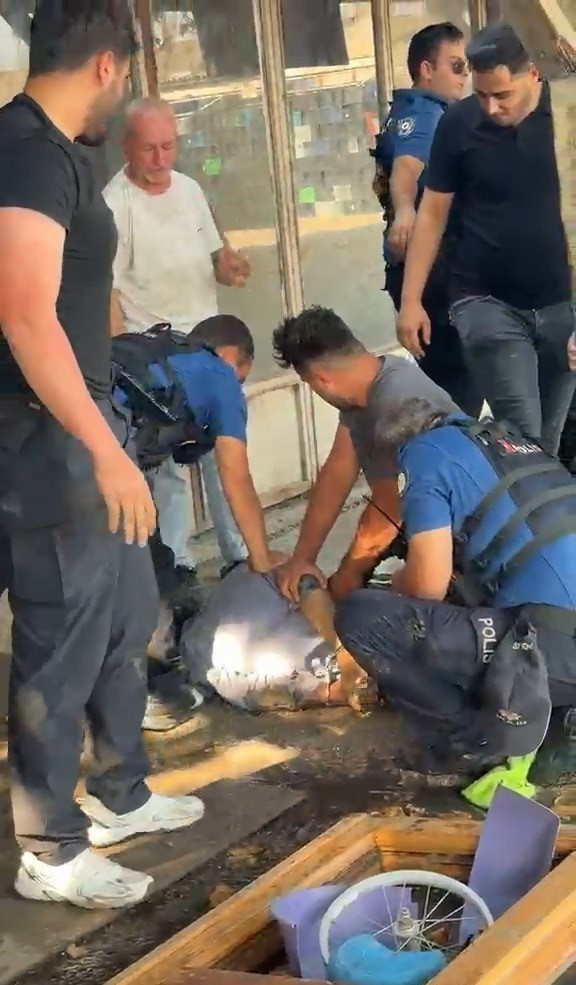 Sarımsaklayarak saklamış! Üzerinden servet çıktı: İznik'te şaşkına çeviren olay - Resim : 1