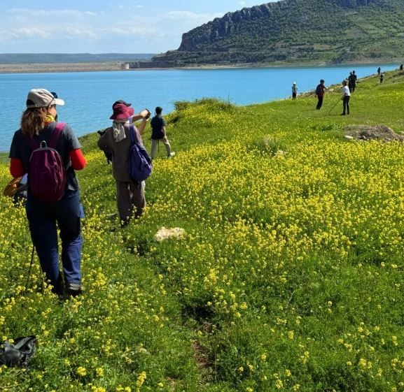 Diyarbakır'da toplamda 50 kişi bir araya geldikten sonra 30'dan fazla mavi torbaya 1000'lercesi teker teker toplandı - Resim: 2