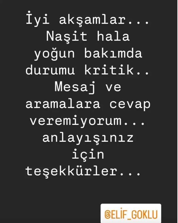 Beyin kanaması geçirmişti! Adile Naşit'in yeğeni Naşit Özcan'dan haber geldi - Resim: 4