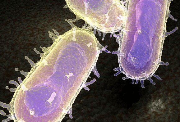 Araştırmacılar 4.000 yıllık insanın DNA'sını araştırdı. Çıkan sonuçlar araştırmacıları ofis koltuğunda yerinden fırlattı - Resim: 1