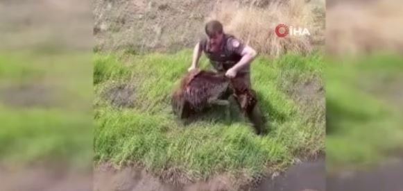 Erzurum'da 1 tane koyun hakkında ihbar alan resmi ekipler 1 koyun için bölgeye gitti. Ekipler doğadaki o manzarayı görünce adeta hayrete düştü - Resim: 4