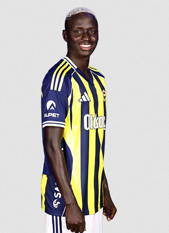 Fenerbahçe’de büyük operasyon! 9 yabancının bileti kesildi! İşte gidecekler - Resim: 11