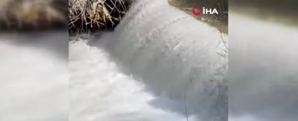 Elazığ'da müthiş doğa olayını görenler hayretler içerisinde kaldı... 1000'lercesi yumurta bırakmak için ters yöne doğru akın etmeye başladı - Resim: 3