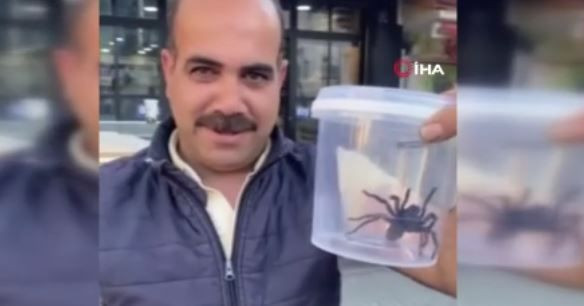 Elazığ’da 1 tanesi doğadan fırlayıp geldi... Vatandaşlar onu görünce büyük panik yaşadı. Acilen kapalı bir alana alındı - Resim: 3