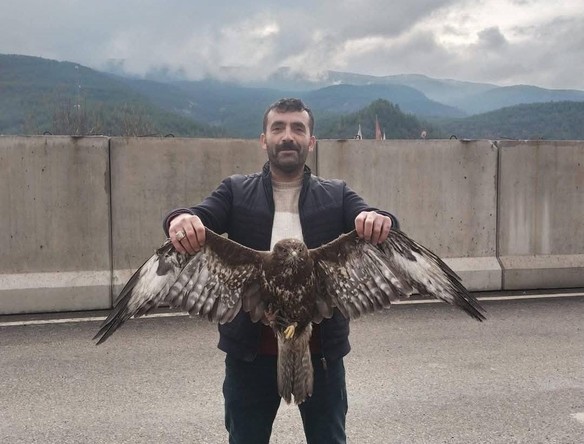 Karabük'te yol kenarında bulduğu yırtıcı hayvanın yaralı olduğunu anladı. Hayvanı hemen jandarma ekiplerine teslim etti - Resim : 2