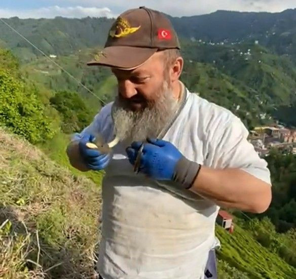 Rize'de tarlasında bakım yapmak isteyen çiftçi bir anda karşısında gördü. 1 metreden uzundu ancak asıl hayvana yaptığı hareket şaşırttı - Resim: 1