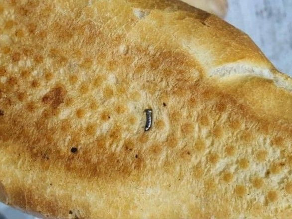 Siirt’te fırından alınan ekmeğin içinden çıkan şaşkına çevirdi! Birinin ölümüne neden olabilirdi - Resim: 3