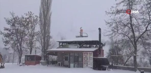 Tunceli'de 1 tane hayvan Türkiye'ye müjdeli haberi getirmek için giriş yapmıştı. Tunceli'ye giriş sırasında korkunç bir olay yaşadı. Doğamız için kara bir haber - Resim: 4