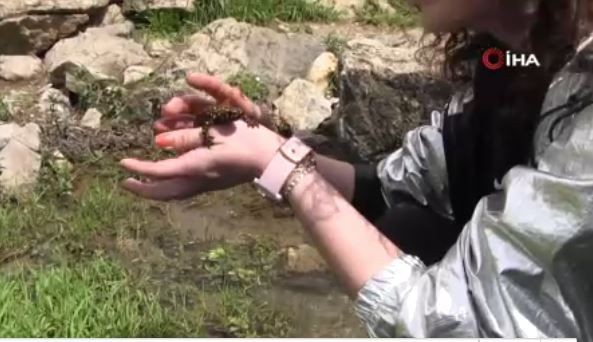 Siirt'te insan gördüğü yerden 100 kilometre uzaklaşan hayvan 1 kez ortaya çıktı. Ardından 100 kilometre hızla geri kaçtı - Resim: 3