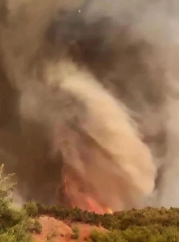 Sabah sönmüştü, akşam tekrar alevlendi: Sakarya-Bilecik hattındaki yangın köyleri tehdit ediyor - Resim: 9