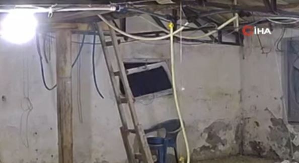 Bolu'da 10.000'lerce hayvanın olduğu yere girmeye çalışırken yakalandı. Tek 1 başına 10.000'lercesine kafa tutacaktı - Resim: 4