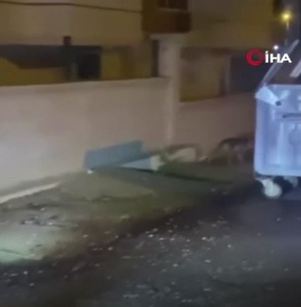 Ankara'nın Polatlı ve Elmadağ ilçelerinde bir anda ortaya çıktılar. Onları görenler büyük bir korku yaşadı - Resim: 3