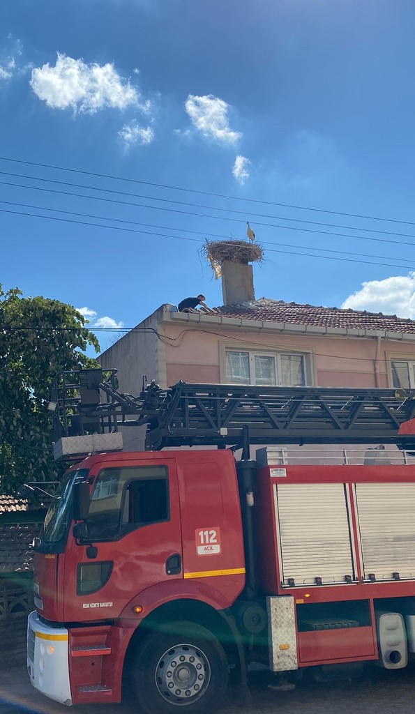 Tekirdağ'da iki katlı bir evin çatısında yaralı halde bulundu. İtfaiye ekiplerinin kurtardığı canlı, acil veterinere götürüldü - Resim : 2