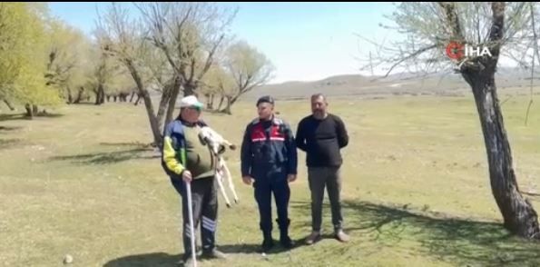 Yozgat'ta jandarma ekipleri 100'lerce koyunun otladığı bölgede 1 tane onu fark etti! Hemen araçtan inerek yanına gittiler - Resim: 3