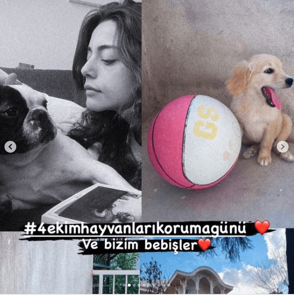 4 Ekim Hayvanları Koruma Günü'nde ünlü isimlerden paylaşımlar! - Resim: 2