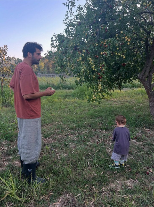 Kaan Urgancıoğlu vaktini oğluna ayırıyor! 2 yaşındaki Ardıç ile ağaçtan meyve topladı - Resim: 5