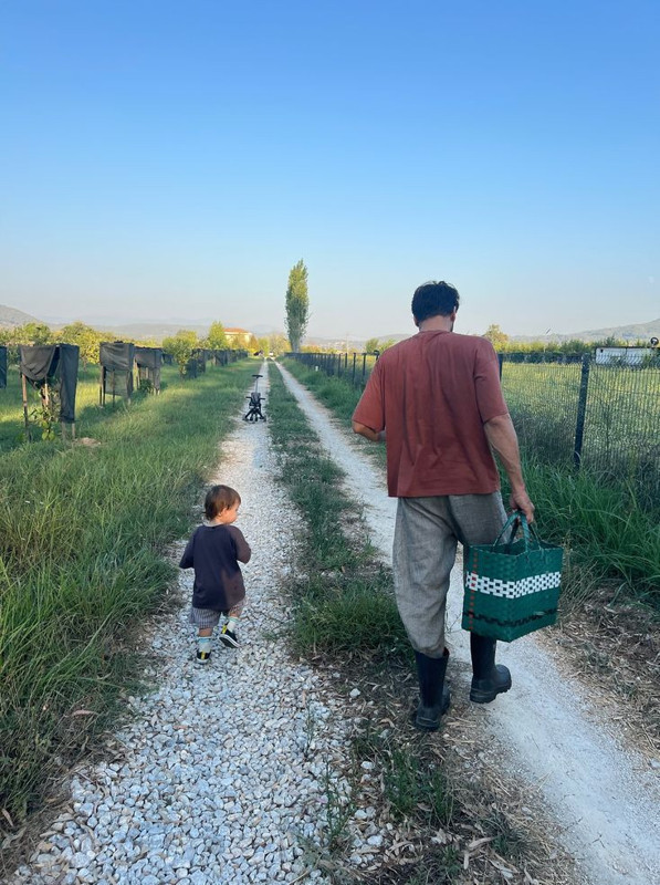 Kaan Urgancıoğlu vaktini oğluna ayırıyor! 2 yaşındaki Ardıç ile ağaçtan meyve topladı - Resim: 4