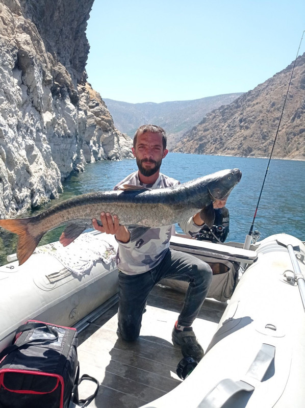Elazığ’da amatör balıkçı 25 dakikalık mücadelenin ardından 11 kiloluk dev canlıyı kıyıya çıkarıldı - Resim: 2