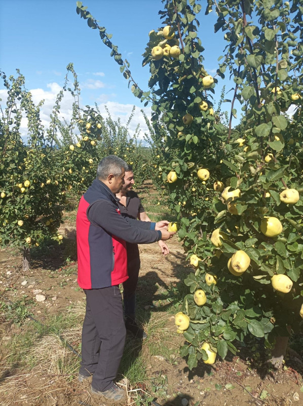Çanakkale’de dolu yağışı tarım arazilerini vurdu! ekipler sahada hasar tespiti yaptı - Resim: 1