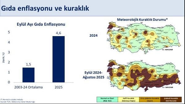 Hazine ve Maliye Bakanı Mehmet Şimşek'ten enflasyon açıklaması - Resim : 1