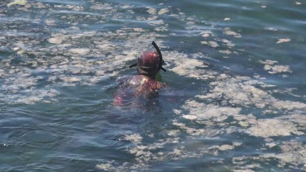 Görüntü korkunç! İstanbul'daki deniz salyasının görünmeyen yüzü - Resim : 1