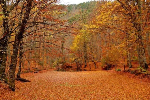 Kasım ayı sözleri ve mesajları: Hoş Geldin Kasım ile ilgili resimli, duygusal, etkileyici, anlamlı, kısa, uzun Kasım ayı mesajları, sözleri ve şiirleri! - Resim: 5