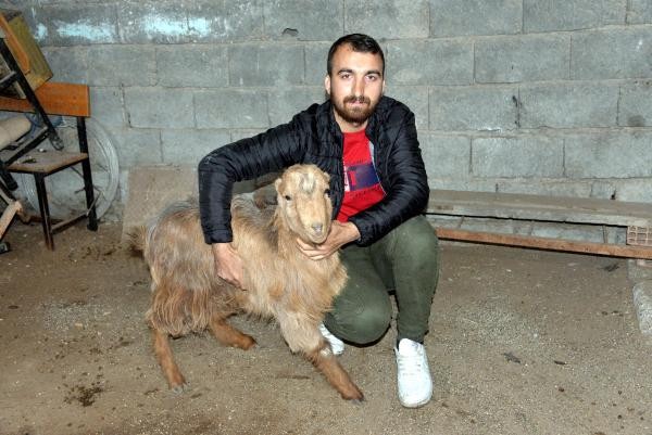 Enkaz kaldırılırken herkesi şaşkına çeviren olay! "Gözlerimize inanamadık şaşırdık, bir anda ayaklandı" - Resim : 2