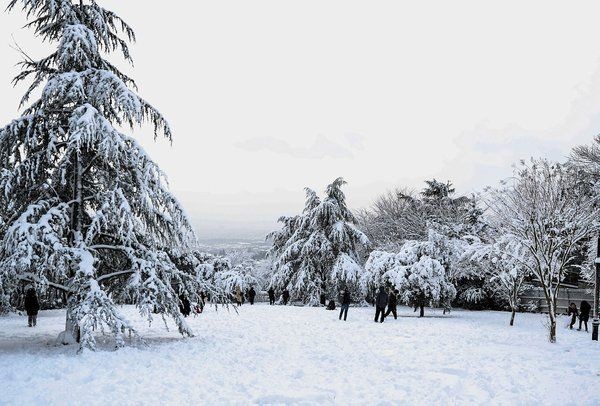 31 Ocak hava durumu! Meteoroloji’den 46 kente sarı kodlu uyarı! - Resim: 13