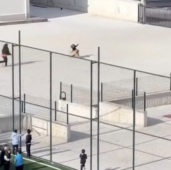 Okul bahçesinde başıboş köpek paniği! Öğrenciler nereye kaçacağını şaşırdı: Korku dolu anlar kamerada! - Resim: 4