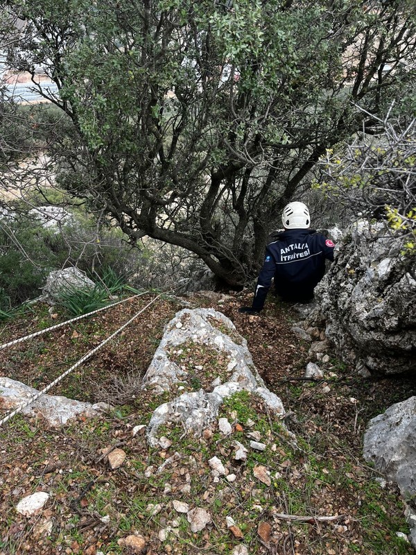 Antalya'da 300 metrede, 3 günden bu yana bekliyordu. Resmi ekipler 3 gün sonra gittikleri keçinin yanında hayrete düştü - Resim: 3